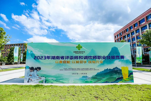 2023年湖南省評(píng)茶師和調(diào)飲師職業(yè)技能競(jìng)賽圓滿(mǎn)閉幕 省茶業(yè)集團(tuán)喜獲佳績(jī)