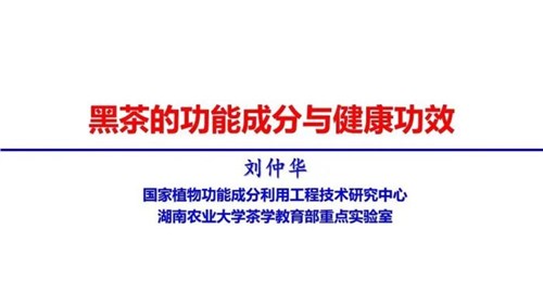 茶的功能成分與健康功效 | 茶、飲茶與健康