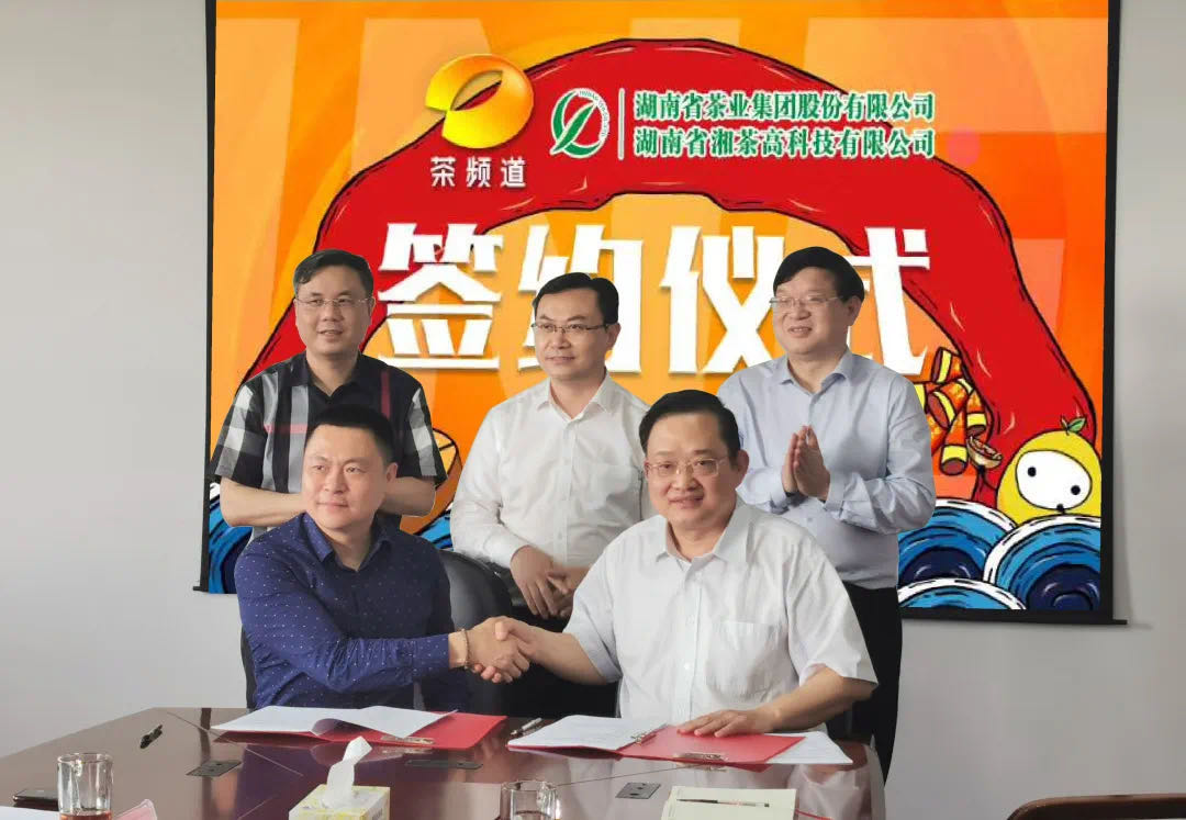 院士見(jiàn)證，輕輕茶發(fā)力品牌建設(shè)，與茶頻道達(dá)成深度合作