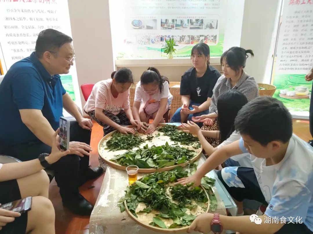 原載人民日報“人民視點”茶葉是怎樣做出來的？湖南大、中、小學生體驗湖南工夫紅茶制作